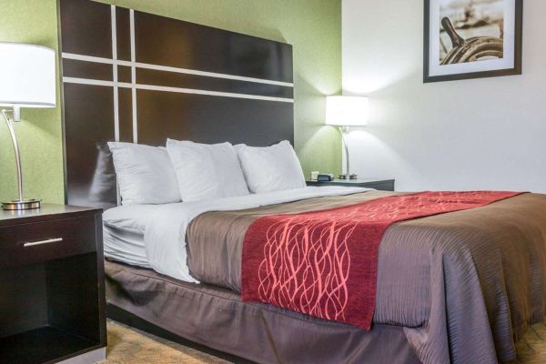 Comfort Inn & Suites Maumee - Toledo (I80-90)